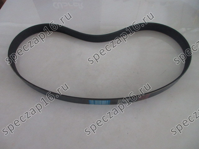 Ремень помпы 8PK1350 WD615